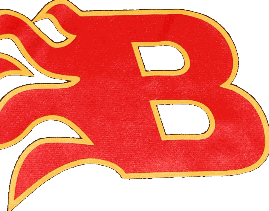 Kawartha Blazers logo